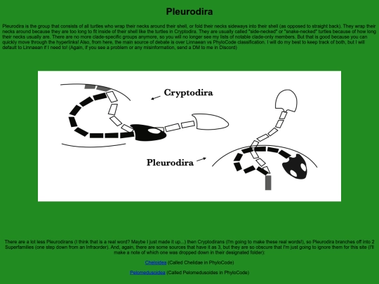 chelonians/testudinata/testudines/pleurodira screenshot