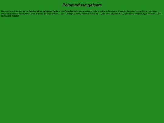 chelonians/testudinata/testudines/pleurodira/pelomedusoidea/pelomedusidae/pelomedusa/galeata screenshot