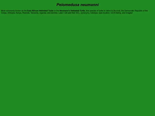 chelonians/testudinata/testudines/pleurodira/pelomedusoidea/pelomedusidae/pelomedusa/neumanni screenshot