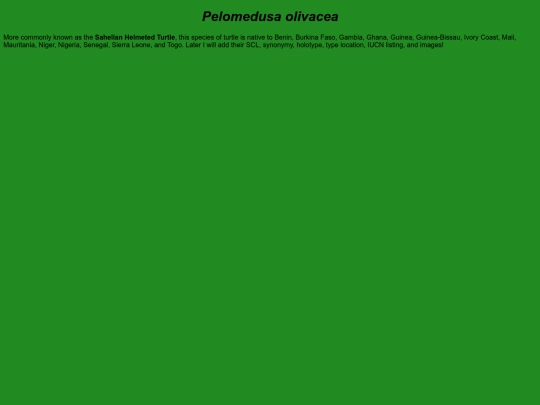 chelonians/testudinata/testudines/pleurodira/pelomedusoidea/pelomedusidae/pelomedusa/olivacea screenshot