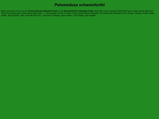 chelonians/testudinata/testudines/pleurodira/pelomedusoidea/pelomedusidae/pelomedusa/schweinfurthi screenshot