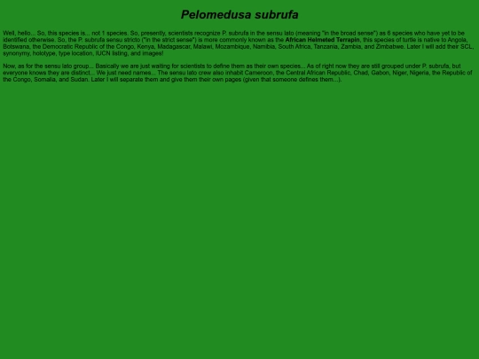 chelonians/testudinata/testudines/pleurodira/pelomedusoidea/pelomedusidae/pelomedusa/subrufa screenshot