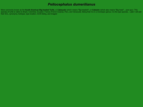chelonians/testudinata/testudines/pleurodira/pelomedusoidea/podocnemididae/peltocephalinae/peltocephalus/dumerilianus screenshot