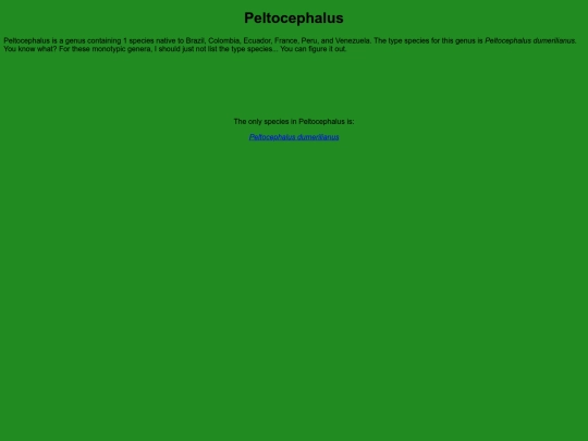 chelonians/testudinata/testudines/pleurodira/pelomedusoidea/podocnemididae/peltocephalinae/peltocephalus screenshot