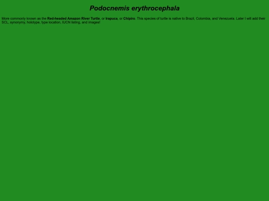 chelonians/testudinata/testudines/pleurodira/pelomedusoidea/podocnemididae/podocnemidinae/podocnemis/erythrocephala screenshot