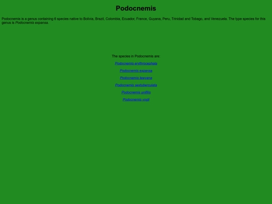 chelonians/testudinata/testudines/pleurodira/pelomedusoidea/podocnemididae/podocnemidinae/podocnemis screenshot