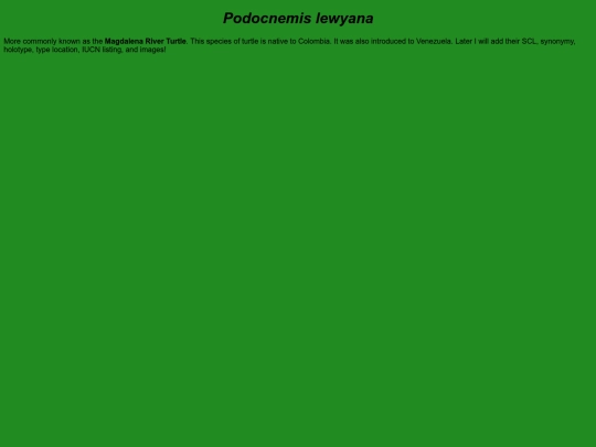 chelonians/testudinata/testudines/pleurodira/pelomedusoidea/podocnemididae/podocnemidinae/podocnemis/lewyana screenshot
