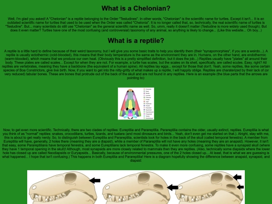 chelonians/thebasics screenshot