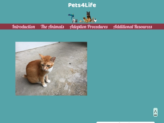 ouranimals screenshot