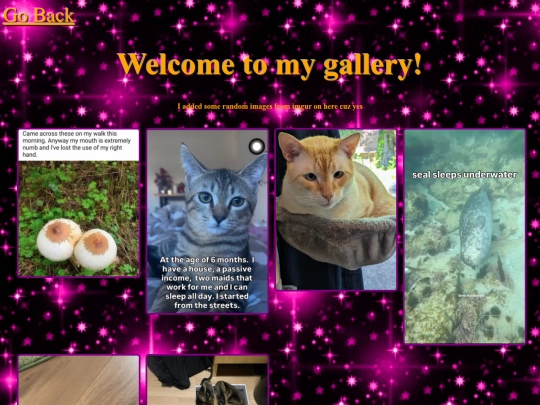 gallery screenshot