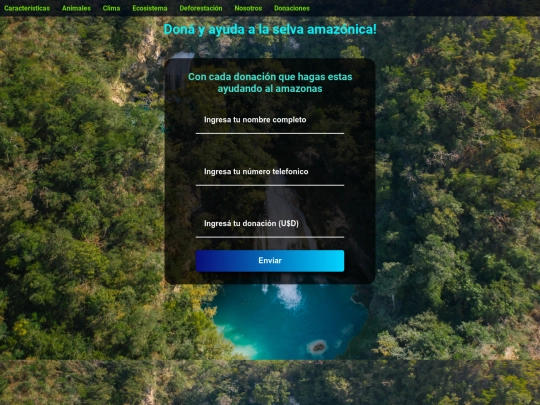 donaciones screenshot