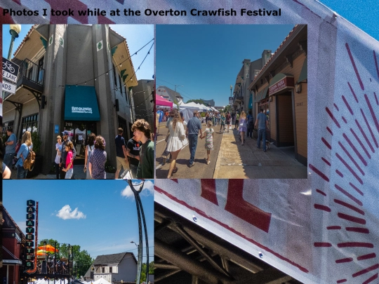 FestivalPics screenshot