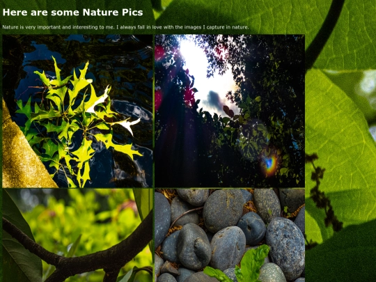 NaturePics screenshot