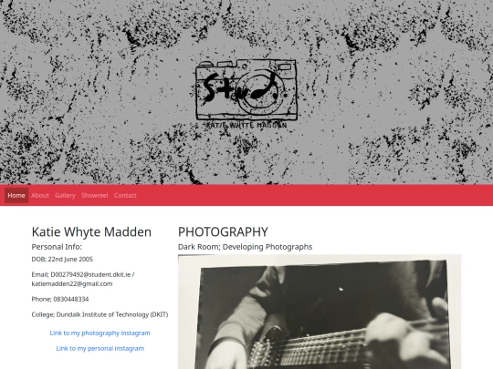 PortfolioCA3 screenshot