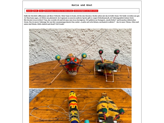 pages4/Katie_Knut_Einleitung screenshot