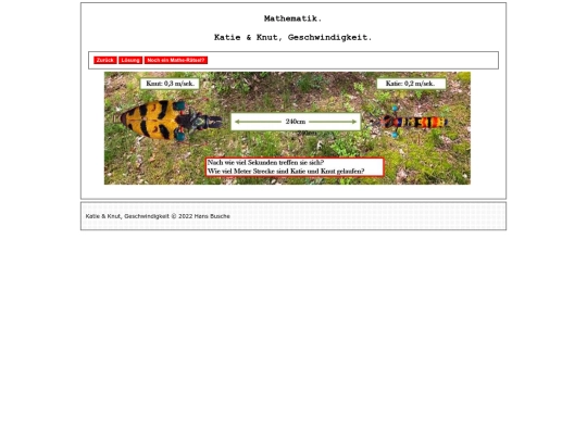 pages4/Mathe11_Aufgabe_KatieKnut screenshot