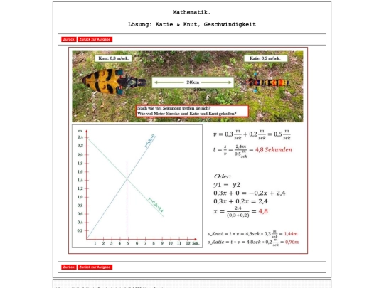 pages4/Mathe11_Loesung_KatieKnut screenshot