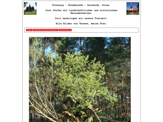 pages7/Kosobudz screenshot