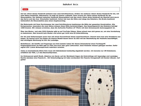 pages9/HaBuRo6_Holz screenshot