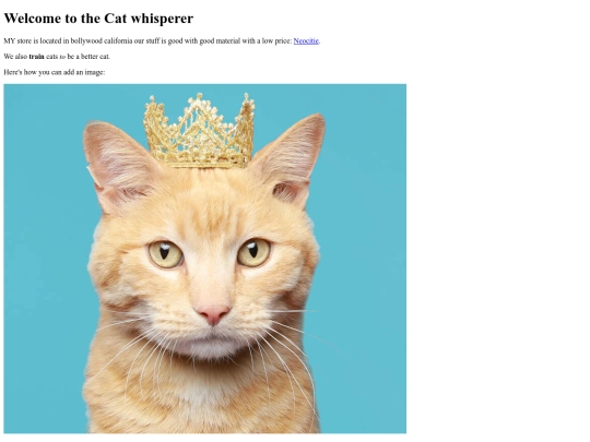 cats screenshot