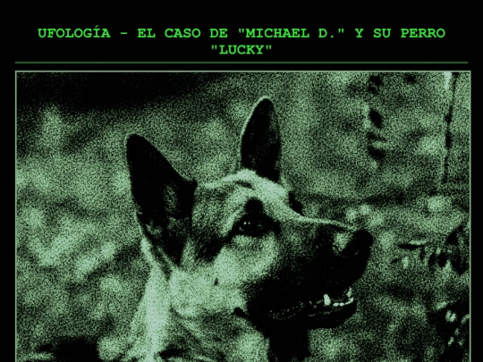 michael-lucky screenshot