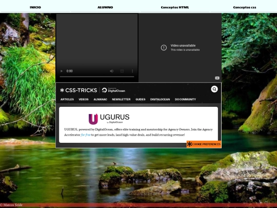 alumno screenshot