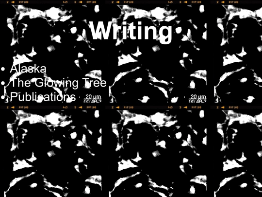 writing screenshot