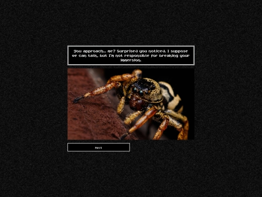 saveforspiders screenshot