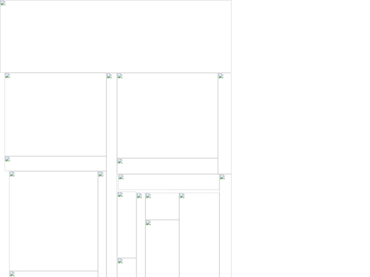 web screenshot