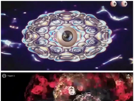 Trip screenshot