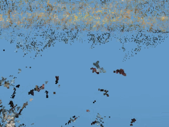 quai screenshot