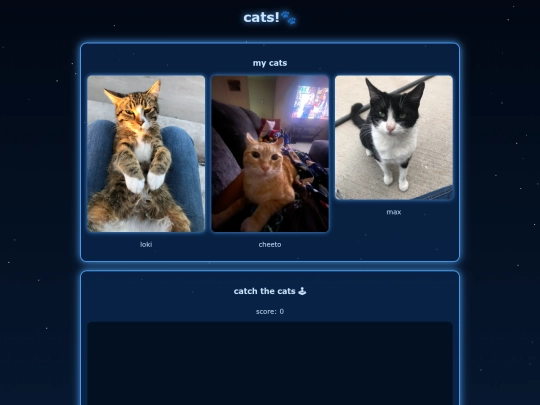 cats screenshot