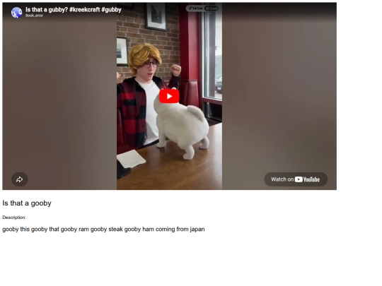 video1 screenshot