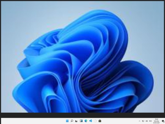 app.html/win11 screenshot