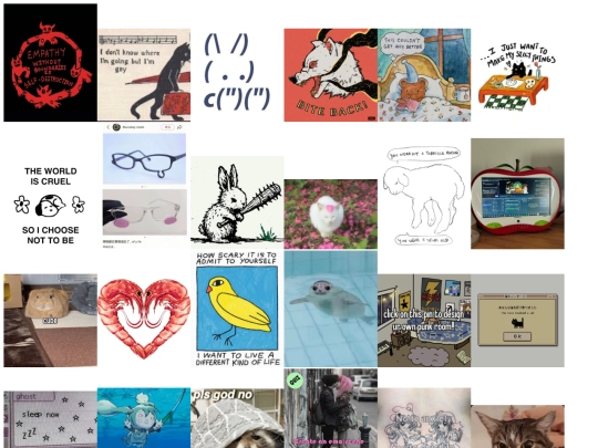 images screenshot