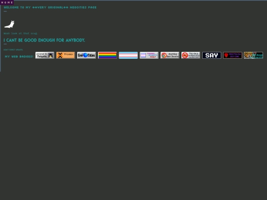 home screenshot