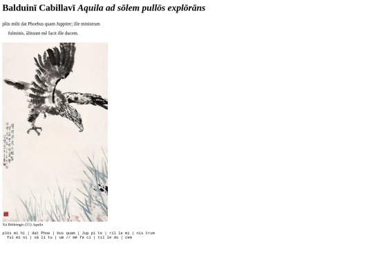 aquila screenshot