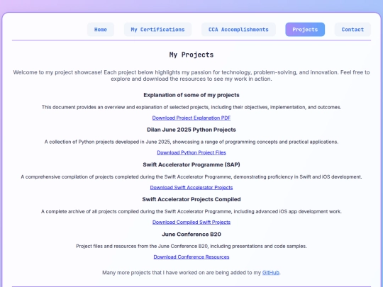 projects screenshot