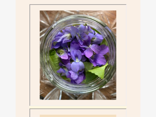 herbalism screenshot