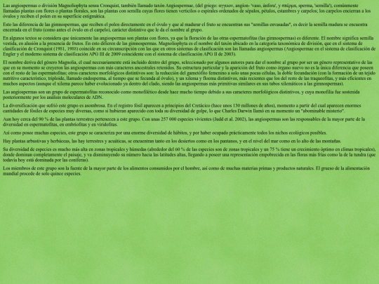index/angiosperma screenshot