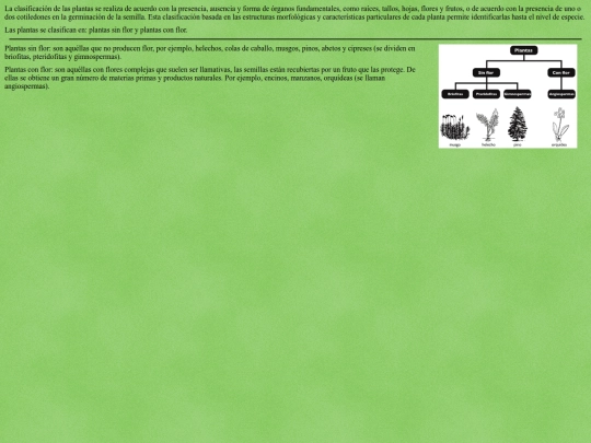index/tipos screenshot