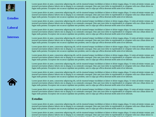 13º_Ejemplo/Curriculum screenshot