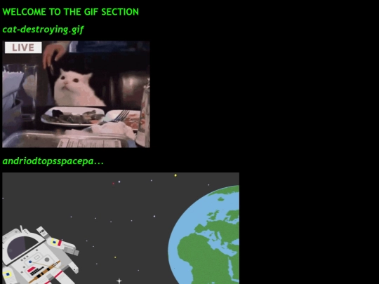 gifsection screenshot