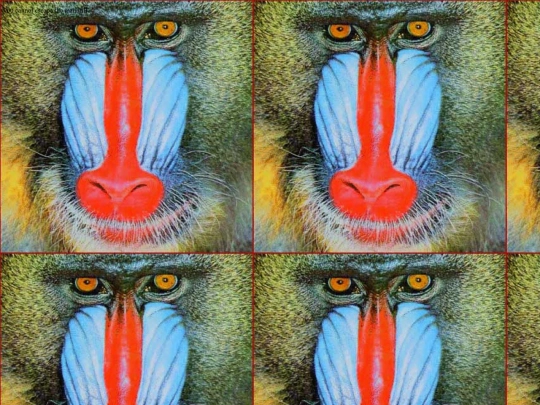 mandrill screenshot