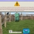 Arlotter's Aviary avatar