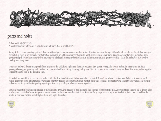 blog/holes screenshot