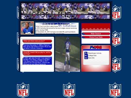 project screenshot