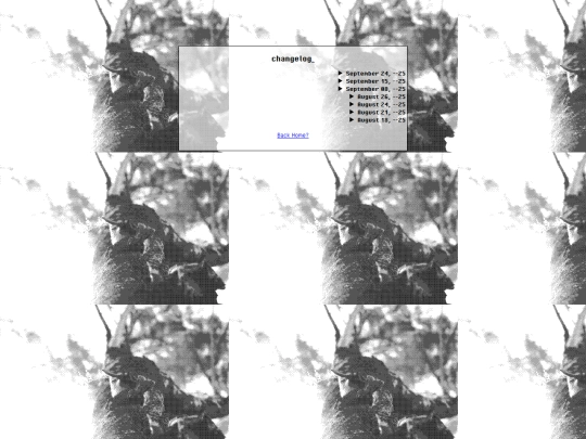 changelog screenshot