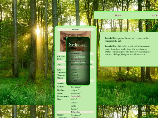 dirtshell screenshot