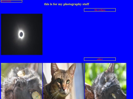 photos screenshot